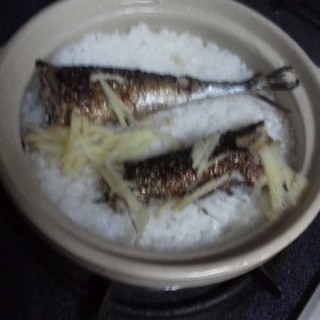 秋刀魚飯